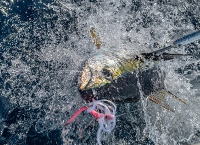 고지혈증에 도움을 주는 음식 18 고지혈증에 도움을 주는 음식 17