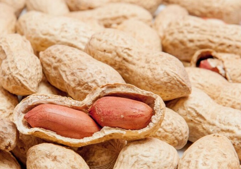 고지혈증에 도움을 주는 음식 28 고지혈증에 도움을 주는 음식 27