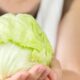 양배추 다이어트 효과, 방법, 장단점, 주의사항 19