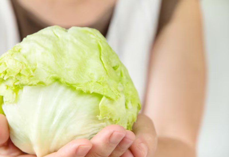 양배추 다이어트 효과, 방법, 장단점, 주의사항 30 양배추 다이어트 효과, 방법, 장단점, 주의사항 29