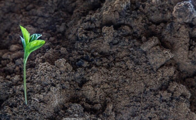 진술축미(辰戌丑未) 특징과 부자사주 속 지장간 8 진술축미(辰戌丑未) 특징과 부자사주 속 지장간 7