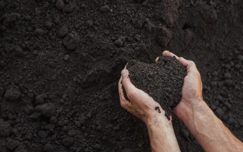 진술축미(辰戌丑未) 특징과 부자사주 속 지장간 11 진술축미(辰戌丑未) 특징과 부자사주 속 지장간 10