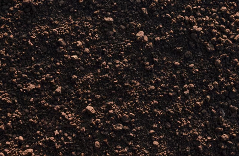 진술축미(辰戌丑未) 특징과 부자사주 속 지장간 13 진술축미(辰戌丑未) 특징과 부자사주 속 지장간 12