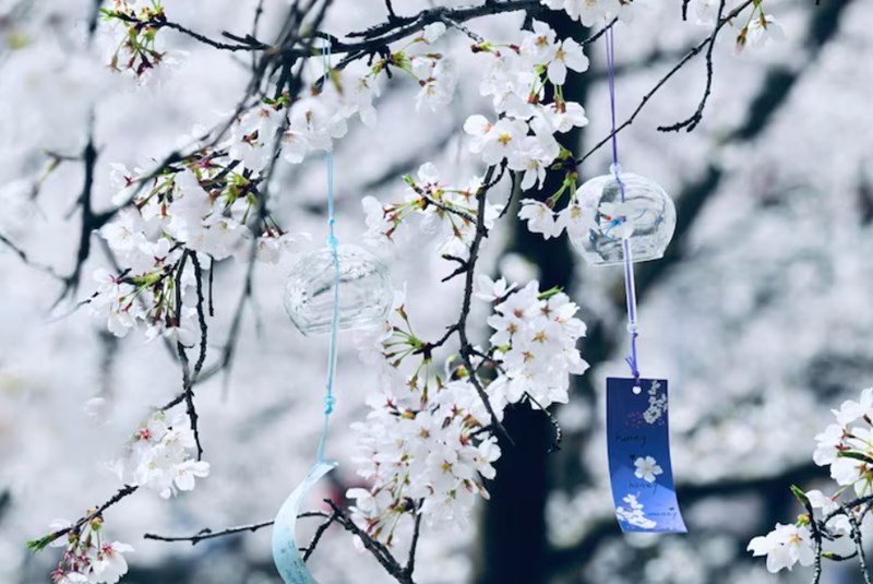 2025년 무료 신년 운세 사이트 추천 TOP 5 12 2025년 무료 신년 운세 사이트 추천 TOP 5 11