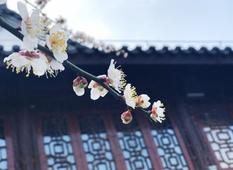 2025년 무료 신년 운세 사이트 추천 TOP 5 14 2025년 무료 신년 운세 사이트 추천 TOP 5 13