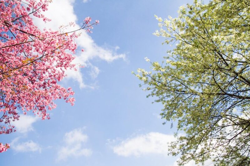 월지와 계절 - 인묘진, 사오미, 신유술, 해자축 - 금융 월지와 계절 - 인묘진, 사오미, 신유술, 해자축 4