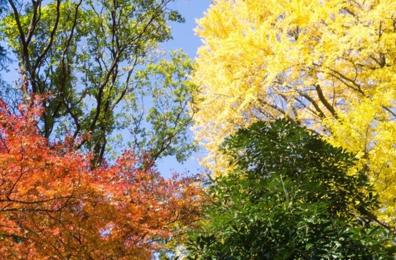 월지와 계절 - 인묘진, 사오미, 신유술, 해자축 - 금융 월지와 계절 - 인묘진, 사오미, 신유술, 해자축 5