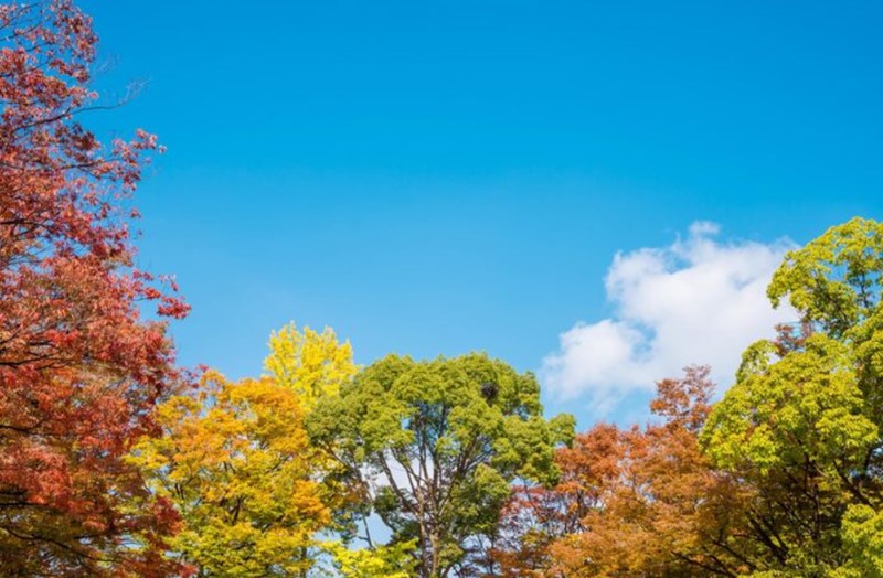 월지와 계절 - 인묘진, 사오미, 신유술, 해자축 - 금융 월지와 계절 - 인묘진, 사오미, 신유술, 해자축 6