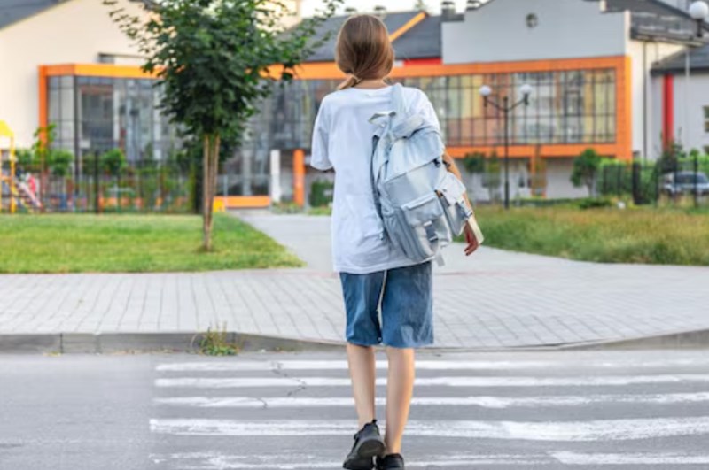 운전자 보험 스쿨존 사고 보장 핵심 분석 및 가이드 18 운전자 보험 스쿨존 사고 보장 핵심 분석 및 가이드 17