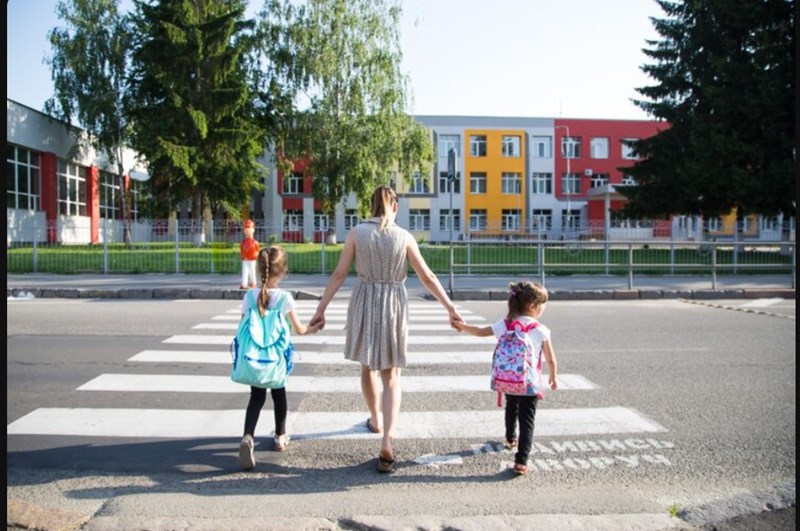 운전자 보험 스쿨존 사고 보장 핵심 분석 및 가이드 14 운전자 보험 스쿨존 사고 보장 핵심 분석 및 가이드 13