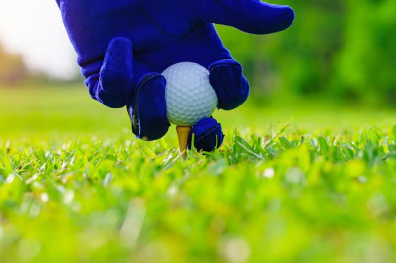 DB 손해보험 다이렉트골프보험 일일 원데이 보장과 홀인원 12 DB 손해보험 다이렉트골프보험 일일 원데이 보장과 홀인원 11