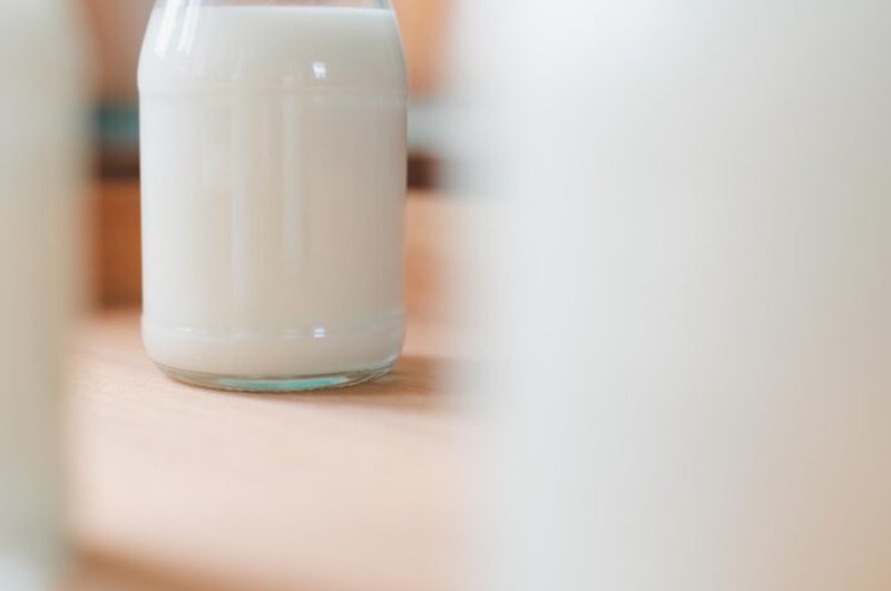 건강한 아이들을 위한 깔끔한 저지방 우유 - 남양 맛있는 우유 GT 리뷰 15