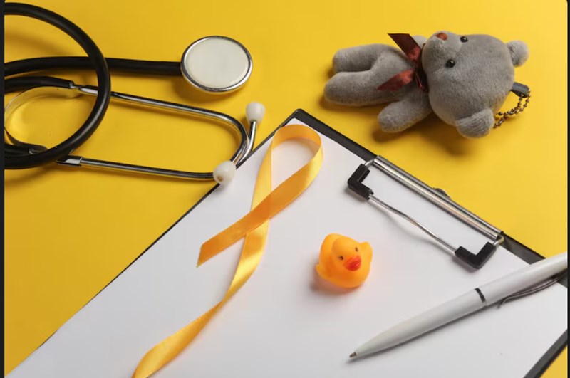 암보험의 종류와 특징, 갱신형과 비갱신형 암보험, 어떤 유형이 적합한가? 13