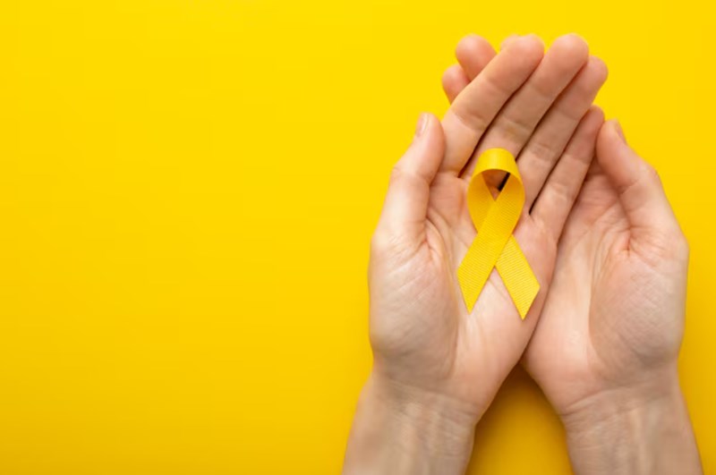 한화 암 보험 2025 : 10가지 주요 상품 완전 분석 - 나에게 맞는 보험은? 7