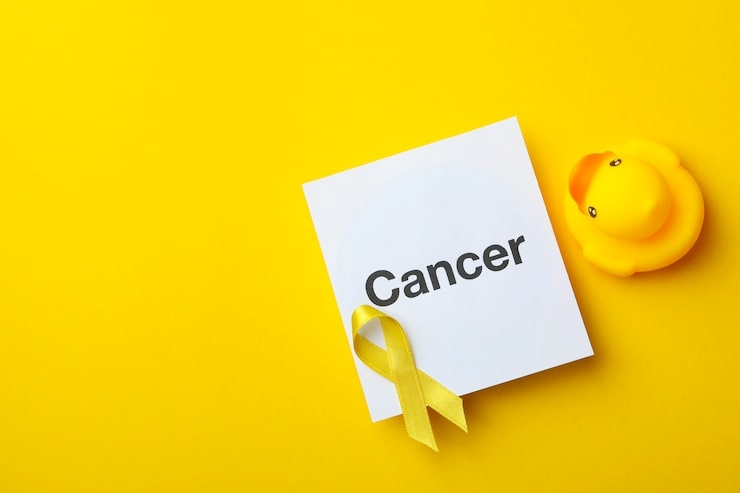 놓치면 손해 봅니다 - 비 갱신 암 보험 비교 핵심 가이드 23