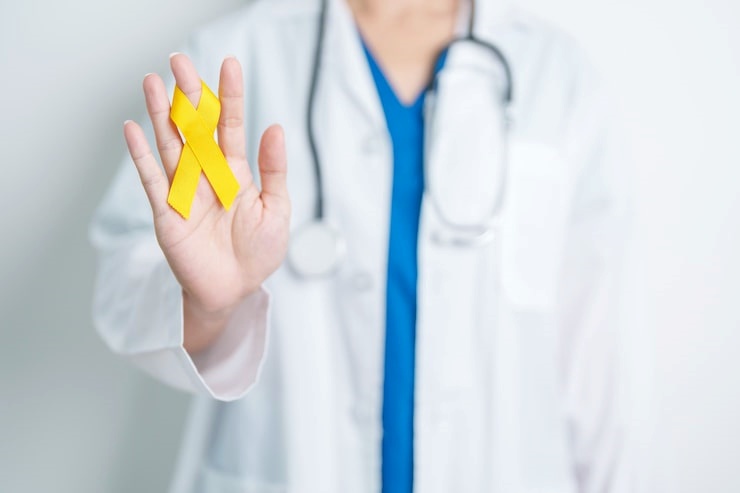 2025년 다이렉트 암 보험 비교 - 장점, 단점, 비갱신 추천 완벽 분석 33