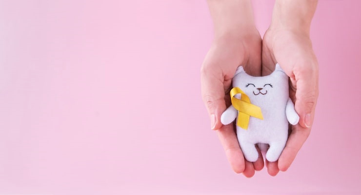 2025년 다이렉트 암 보험 비교 - 장점, 단점, 비갱신 추천 완벽 분석 25