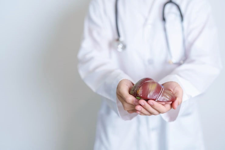 2025년 다이렉트 암 보험 비교 - 장점, 단점, 비갱신 추천 완벽 분석 19