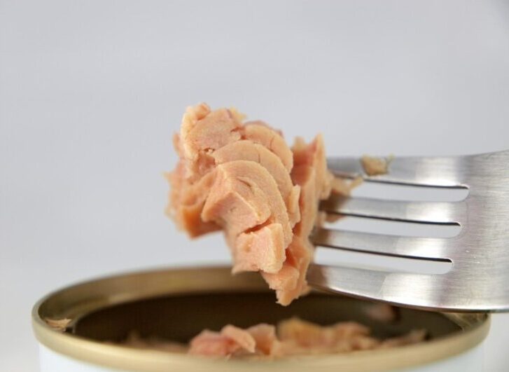 강아지 참치 먹어도 괜찮을까요? 안전하게 참치를 급여하는 방법 - 금융 강아지 참치 먹어도 괜찮을까요? 안전하게 참치를 급여하는 방법 5