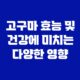 고구마 효능 및 건강에 미치는 다양한 영향 47