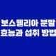 보스웰리아 분말 효능과 섭취 방법 37