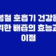 봄철 호흡기 건강을 위한 배즙의 효능과 이점 13