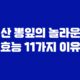 산 뽕잎의 놀라운 효능 11가지 이유 11
