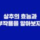 상추의 효능과 부작용을 알아보자! 39