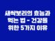 새싹보리의 효능과 먹는 법 - 건강을 위한 5가지 이유 19