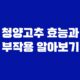 청양고추 효능과 부작용 알아보기 31