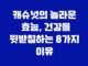 캐슈넛의 놀라운 효능, 건강을 뒷받침하는 8가지 이유 11