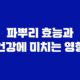 파뿌리 효능과 건강에 미치는 영향 21