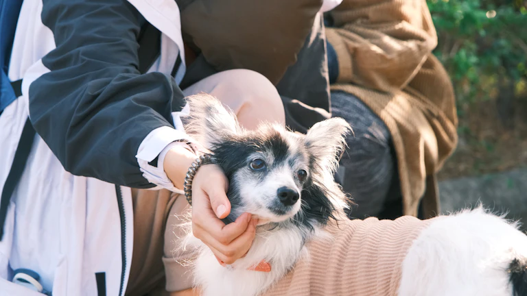 2026년 의무 가입 전 꼭 따져볼 보장 범위 1