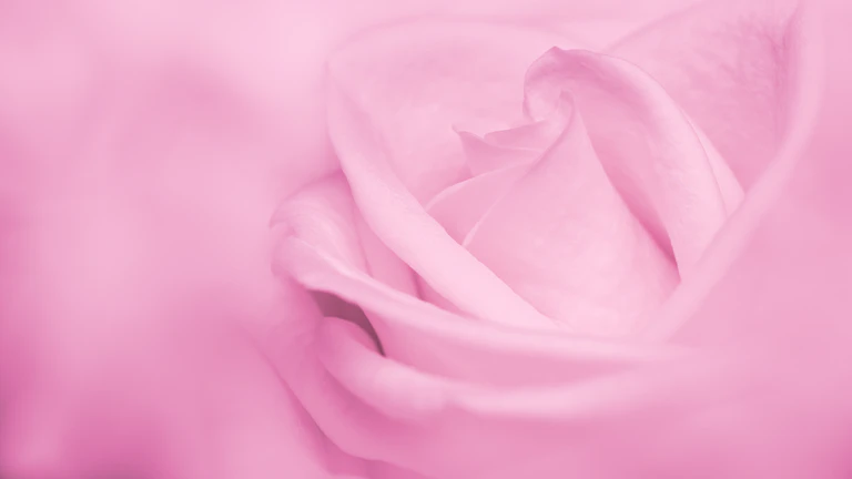 2026년 유방암 진단비 특약 가성비 설계 노하우와 실제 보장 후기 1