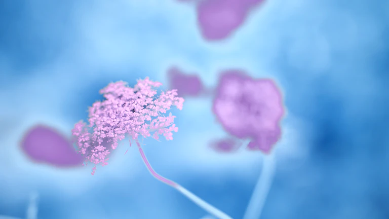 2026년 비갱신형 암보험, 보험료 30% 절약하는 설계 비법과 실제 보상 청구 후기 7 암세포를 형상화한 그림