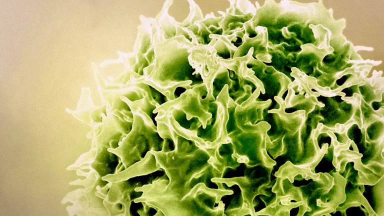 2026년 50대 암보험, 나에게 맞는 최적의 상품 찾는 꿀팁 7가지 1