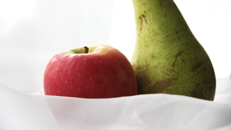 2026년 가족력 질병 보험 가입 조건과 가성비 설계 노하우 8 보험 상품을 비교하는 모습