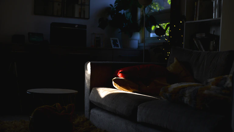 2026년 펫보험 비교, 반려묘/반려견 종류별 최적 보장 설계 완벽 가이드 1