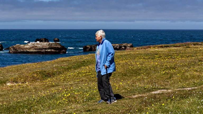 인공관절 수술비 보험금 청구 2026년 가성비 설계 팁 1