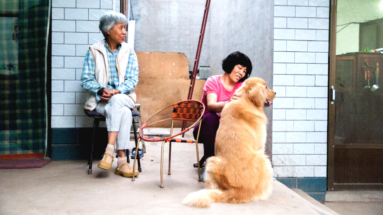 파킨슨병 간병비 지급 거절 대처법 2026년 현명한 노하우 1