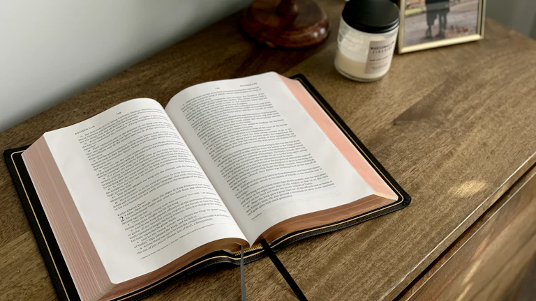 상속세 종신보험 활용 절세 노하우와 지급 후기 (2026년) 11