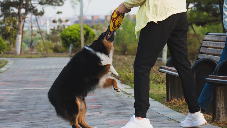 펫보험 가입 2026년 후회 없는 선택을 위한 7가지 핵심 체크리스트 완벽 가이드 1