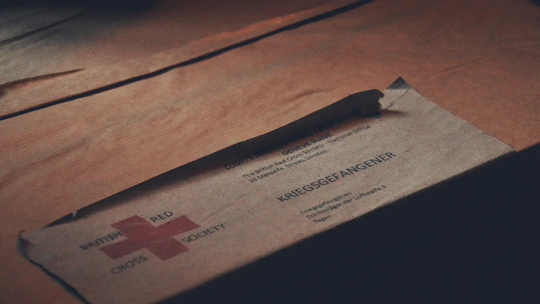 성조숙증 보험금 청구 후기 및 지급 거절 대처법 (2026년) 8 보험금 청구 서류들을 검토하는 모습