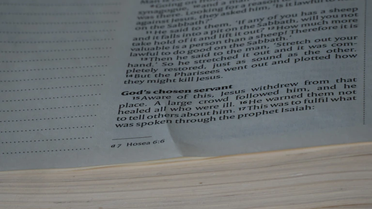 뇌혈관보험 지급 거절 대처법과 2026년 가성비 보장 설계법 8 보험금 청구 서류 뭉치