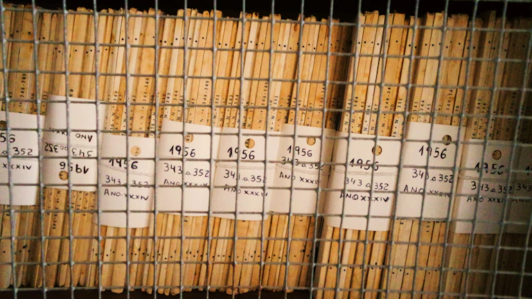 2026년 실손보험 단점 3가지와 현명한 변경 전략 7 보험 증권