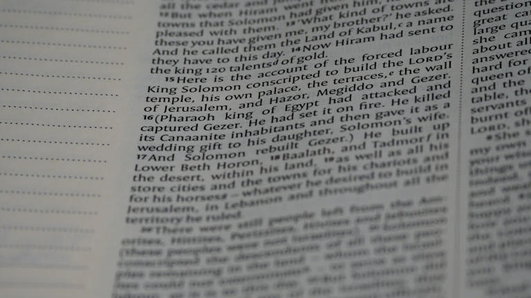 금소법 관련 법률 서류