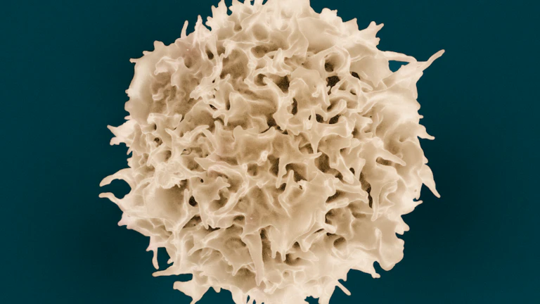 줄기세포 보상 후기 지급 거절 대처법 7 무릎 관절 줄기세포 치료를 상담받는 환자와 의사