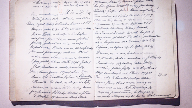 경계성 치매 보험금 2026년 진단 후 제대로 받는 지급 기준 8 오래된 보험 증권