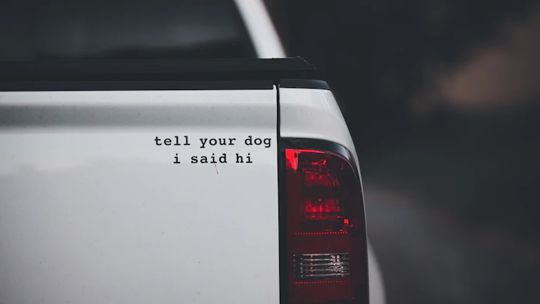 2026년 펫보험, 후회 없는 선택을 위한 3가지 핵심 체크리스트 7 펫보험에 가입하는 반려인과 강아지