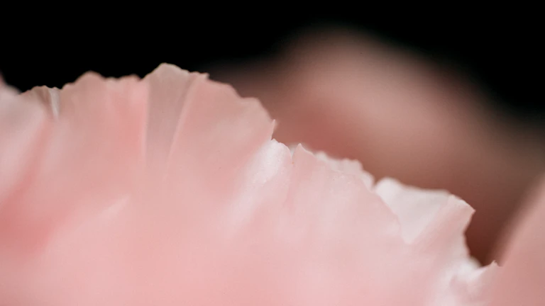 골절 진단비 치아 파절 제외 문구의 함정 이 부러졌을 때 보상받는 특약 11